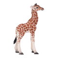Mojo Žirafie mláďa, 3, hry pre deti