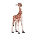 Mojo Žirafie mláďa, 2, hry pre deti