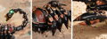 Hračka RoboTime 3D mechanické puzzle Cisár Scorpion, 1