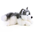 Hračka Plyšový pes Husky ležiaci 30 cm, 2