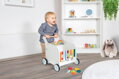 Hračka Drevené chodítko Toy Box Slon, 7