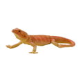 Mojo Agama