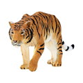 Mojo Tiger na love