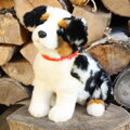 Plyšový pes austrálsky ovčiak 30 cm ECO-FRIENDLY 6, detail