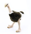 Plyšový pštros Emu 32 cm