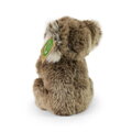 Plyšová koala sediaca 15 cm ECO-FRIENDLY 1, detail