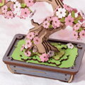 RoboTime 3D drevené puzzle Bonsaj sakura 4, detail