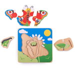 Bigjigs Toys Vkladacie puzzle Životný cyklus motýľa, 1 hračky pre deti