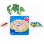 Bigjigs Toys Vkladacie puzzle Životný cyklus žaby, 1 hračky pre deti