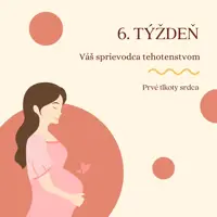 6. týždeň – prvé tlkoty srdca