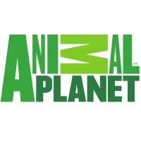 Animal Planet figúrky | Originalnehracky.sk Animal Planet figúrky | Originalnehracky.sk