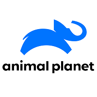 Animal Planet figúrky | Originalnehracky.sk