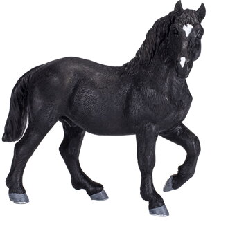 Animal Planet Kôň Percheron