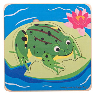Bigjigs Toys Vkladacie puzzle Životný cyklus žaby