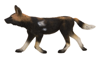 Animal Planet Africký lovecký pes