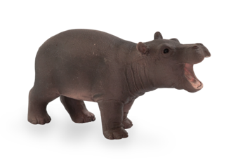 Animal Planet Hroch mláďa
