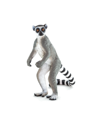 Animal Planet Lemur kata