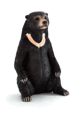 Animal Planet Medveď malajský