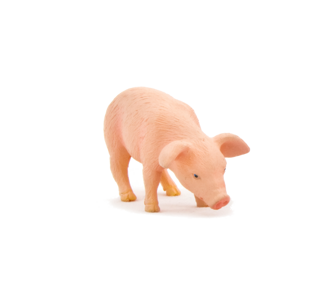 Animal Planet Prasa kŕmiace sa