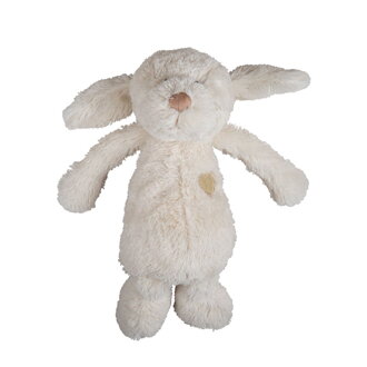 Bigjigs Toys Plyšový zasnený psík