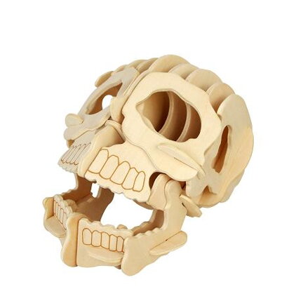 Woodcraft Drevené 3D puzzle Lebka R013