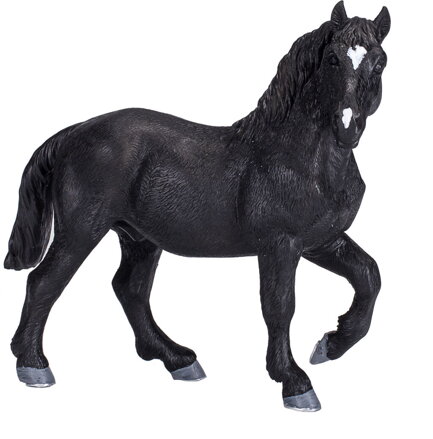 Mojo Kôň Percheron