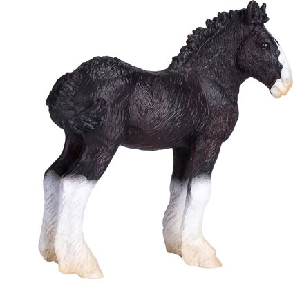 Animal Planet žriebä Shire horse