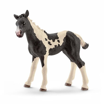 Schleich zvieratko - žriebä Pinto