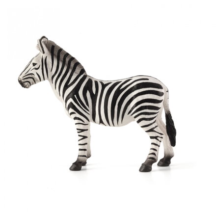 Mojo Zebra