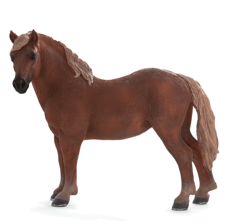 Mojo Suffolský kôň kobyla