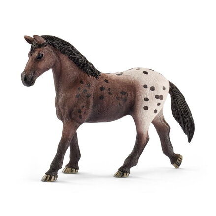 Schleich 13861 zvieratko - Appaloosa kobyla