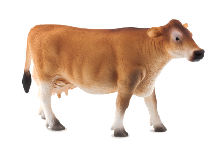 Animal Planet Jersey krava