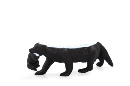 Animal Planet Mediar s mláďaťom