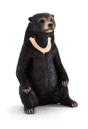 Mojo Medveď malajský