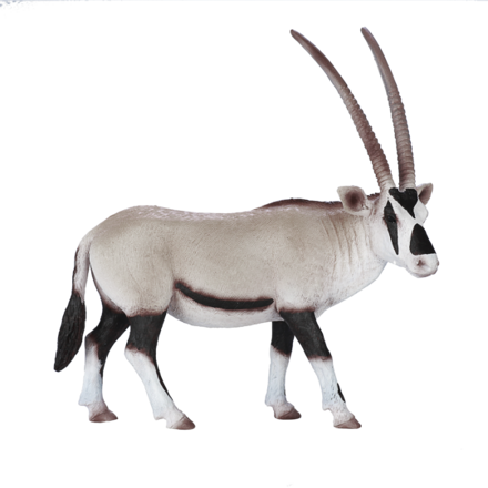 Mojo Oryx juhoafrický