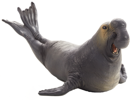 Animal Planet Slon morský