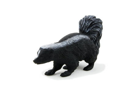 Animal Planet Skunk