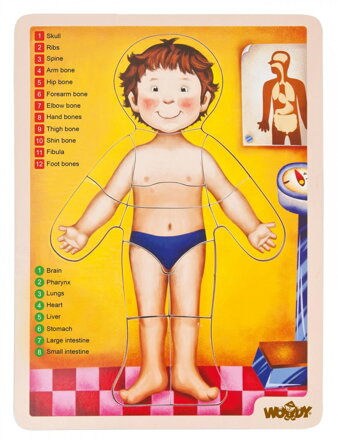 Woody Puzzle ľudské telo AJ