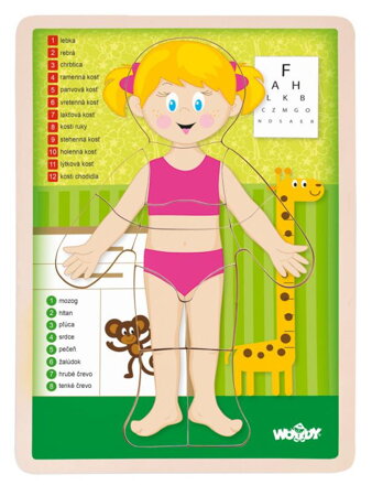 Woody Puzzle Ľudské telo Dievča SK