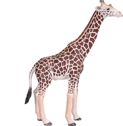 Mojo Žirafa