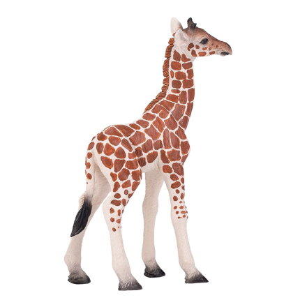 Mojo Žirafie mláďa