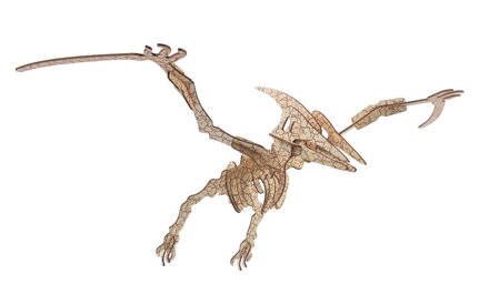 Woodcraft Drevené 3D puzzle Pterosaur