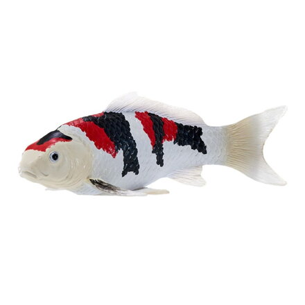 Mojo Kapor koi showa sanshoku
