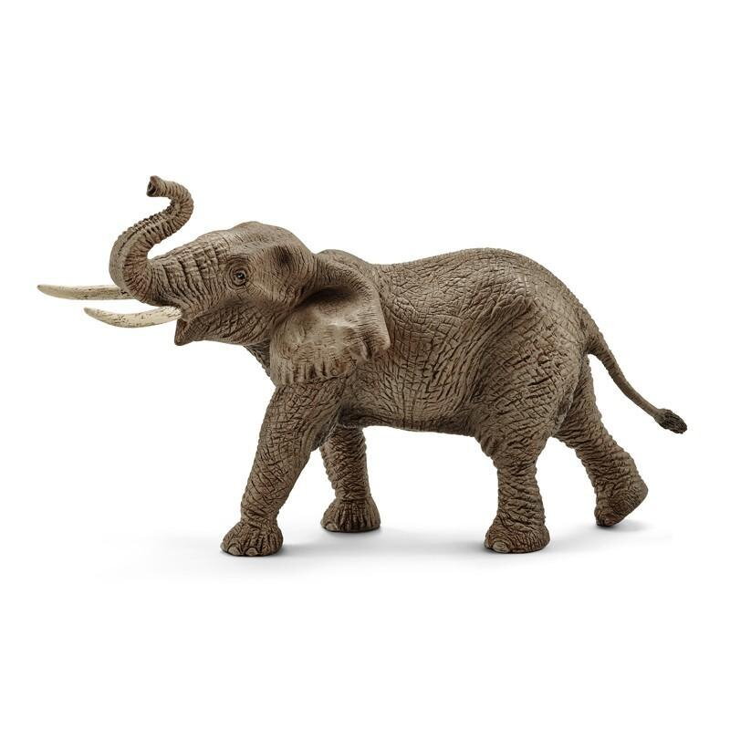 Schleich zvieratko - samec Slona afrického