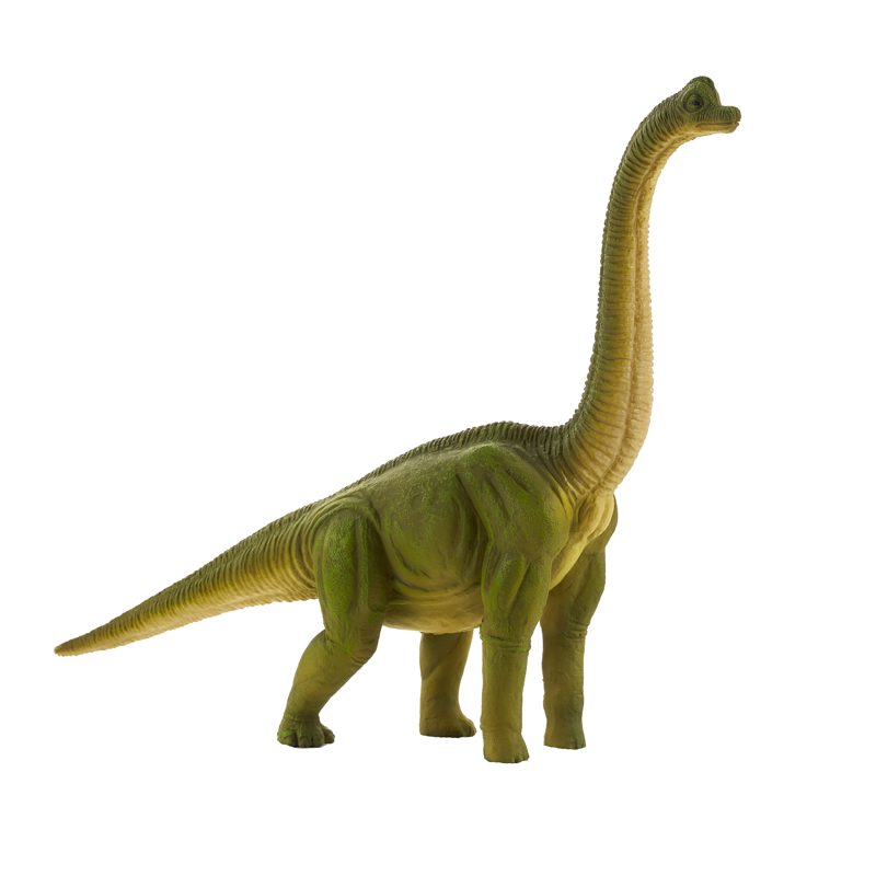 Mojo 387212 Brachiosaurus veľký