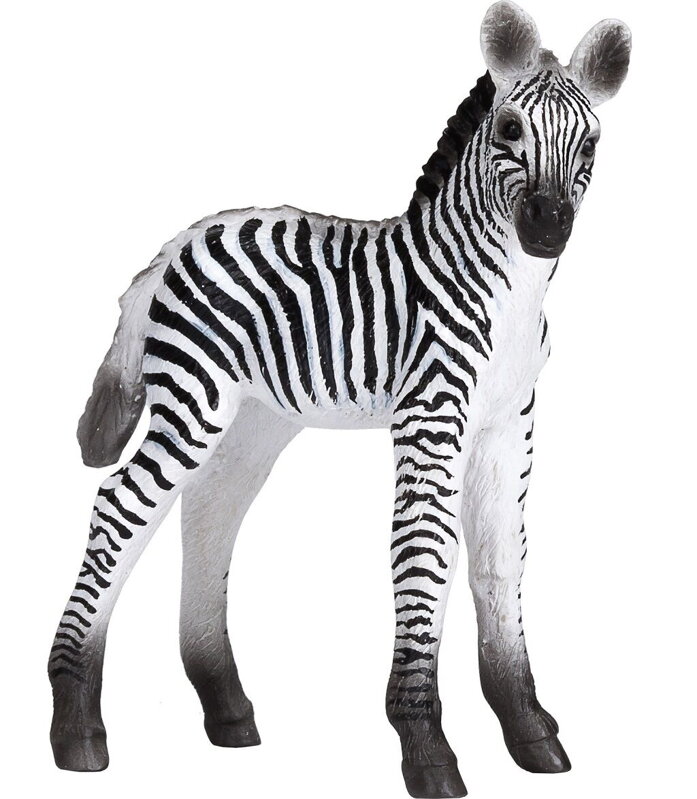 Mojo Zebra mláďa Mojo Zebra mláďa