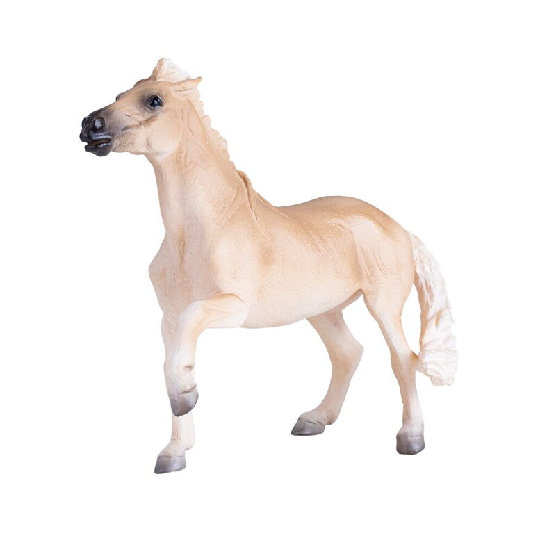 Mojo Kôň Brumby Mare