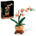 Miniatúrna orchidea