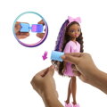 Barbie dream Besties bábika s doplnkami- BROOKLYN
