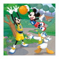WD Mickey a Minnie športovci 3x55D